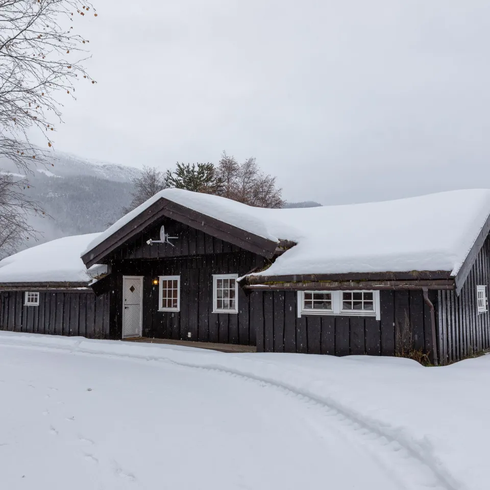 KVITFJELLTUNET 6