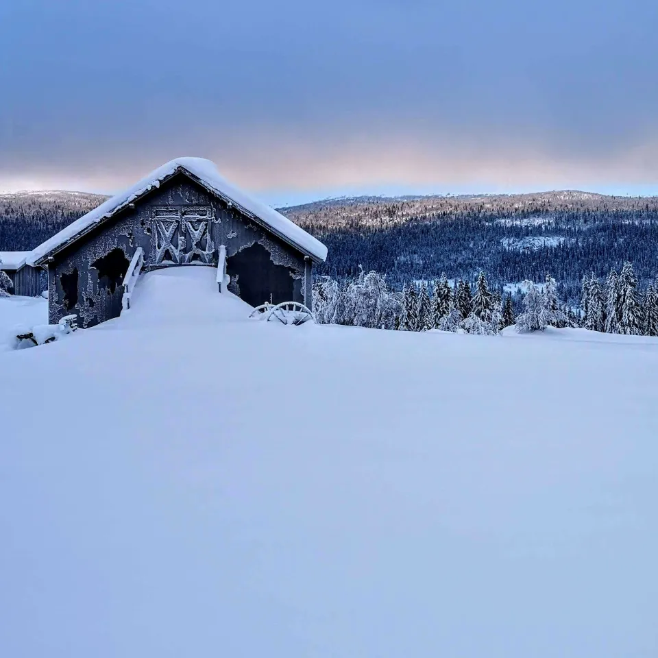 VARDEN FJELLANDSBY 202