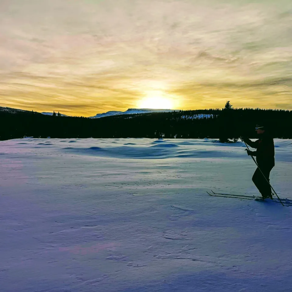 VARDEN FJELLANDSBY 210