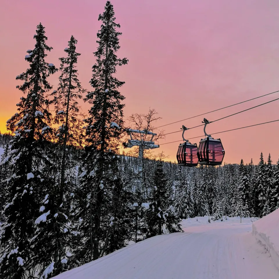 VARDEN FJELLANDSBY 222