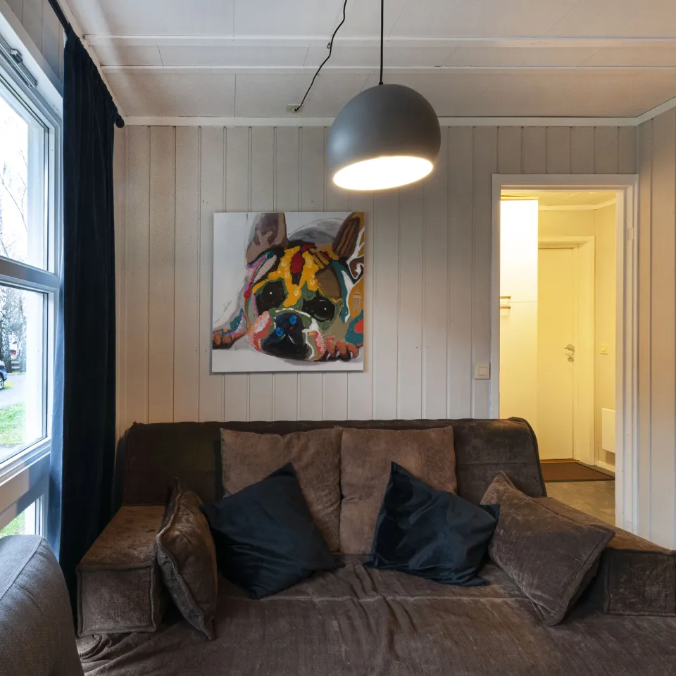 HAFJELL ALPINLANDSBY 44