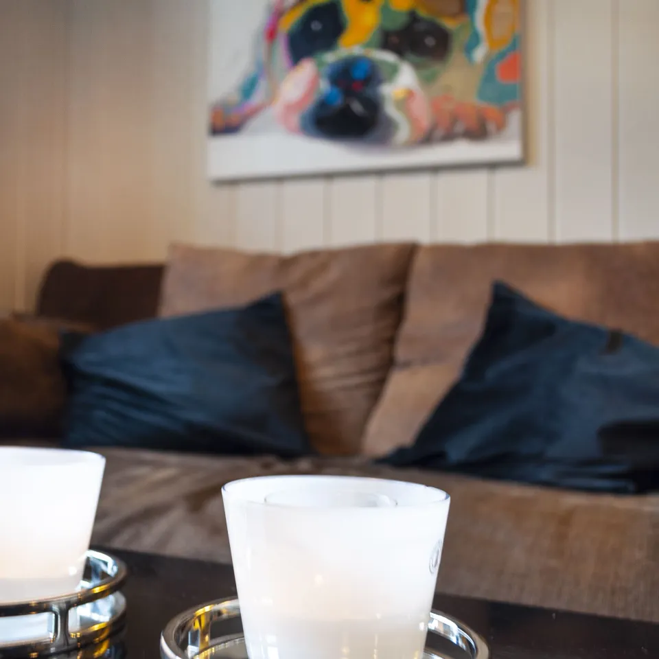 HAFJELL ALPINLANDSBY 44