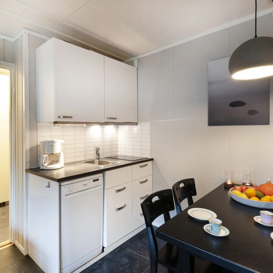 HAFJELL ALPINLANDSBY 44