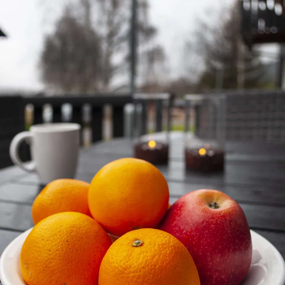 HAFJELL ALPINLANDSBY 44