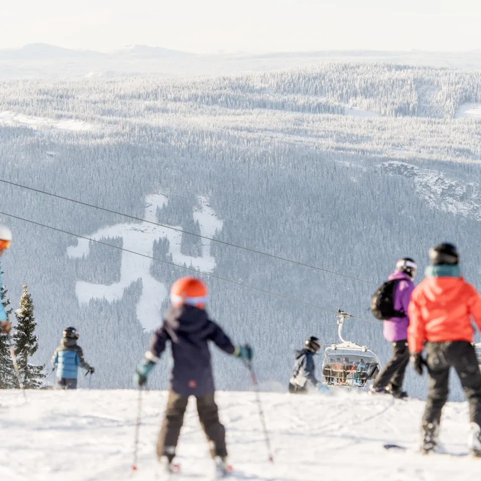 HAFJELL ALPINLANDSBY 44