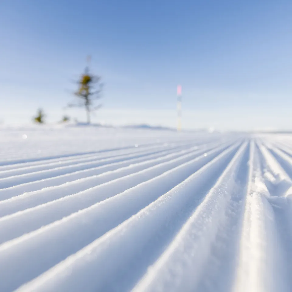 HAFJELL ALPINLANDSBY 44