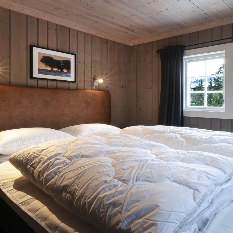 GUDBRANDSGARD HYTTEGREND 3