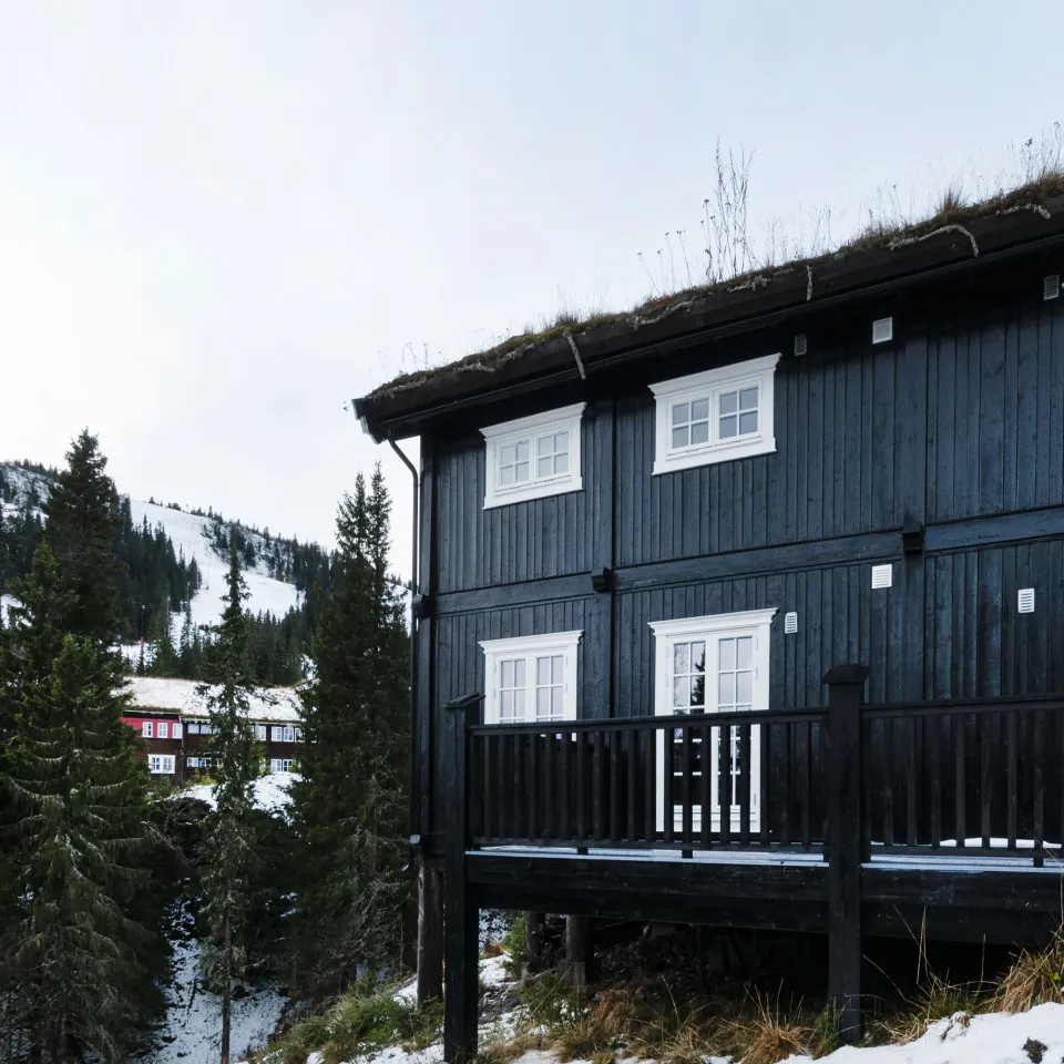 GUDBRANDSGARD HYTTEGREND 3