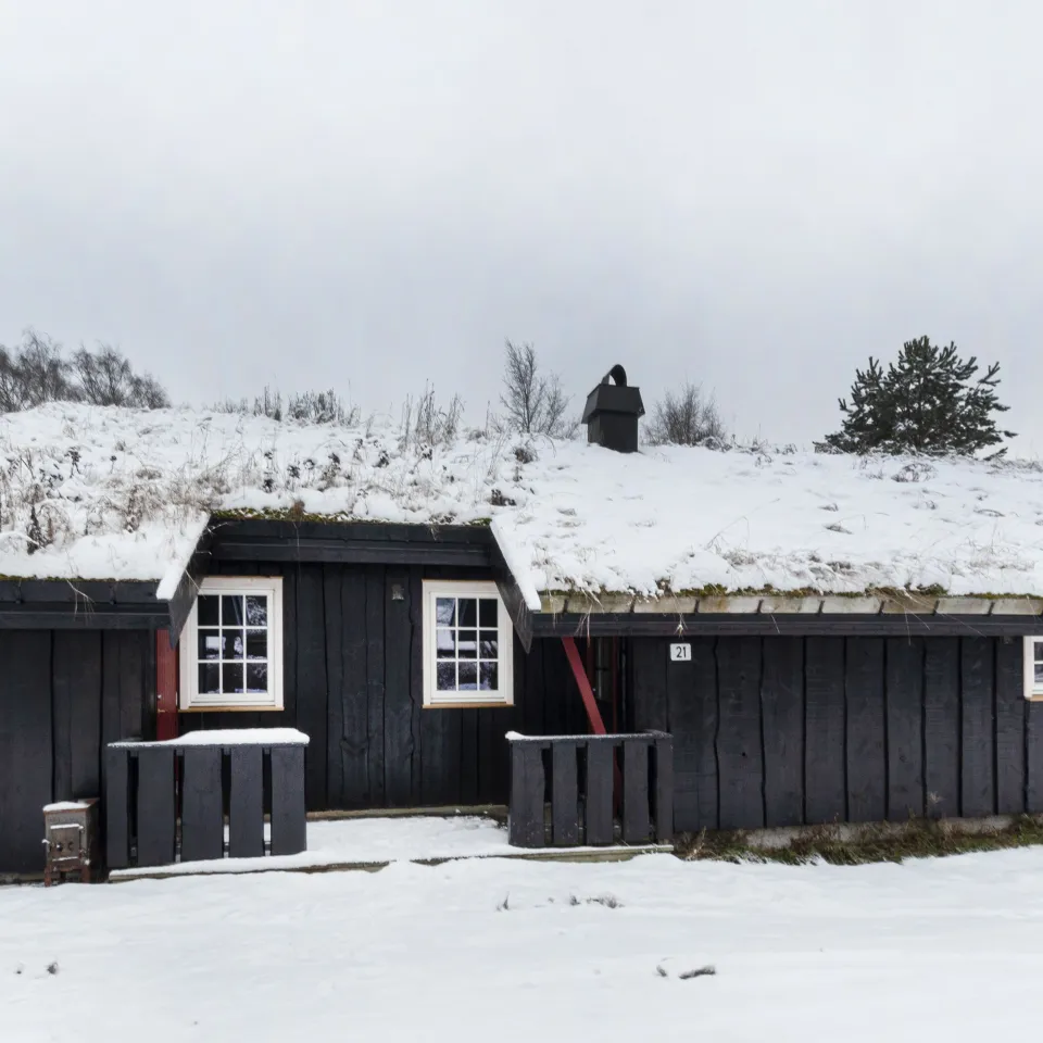 KVITFJELLTUNET 21