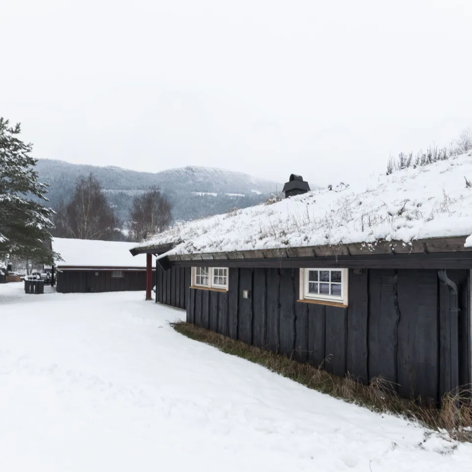 KVITFJELLTUNET 21