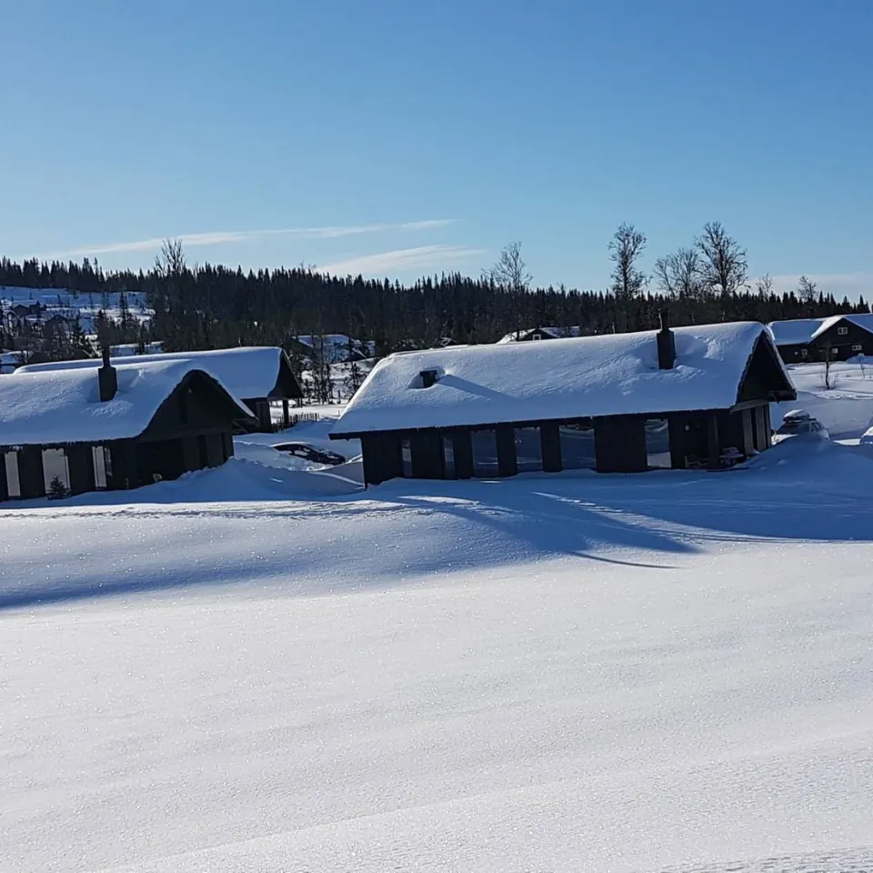MOSETERVEGEN 736