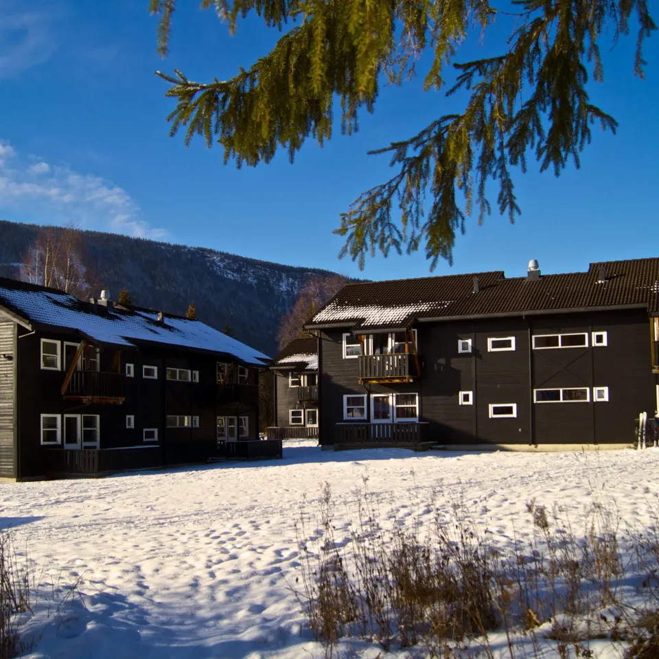 HAFJELL ALPINLANDSBY