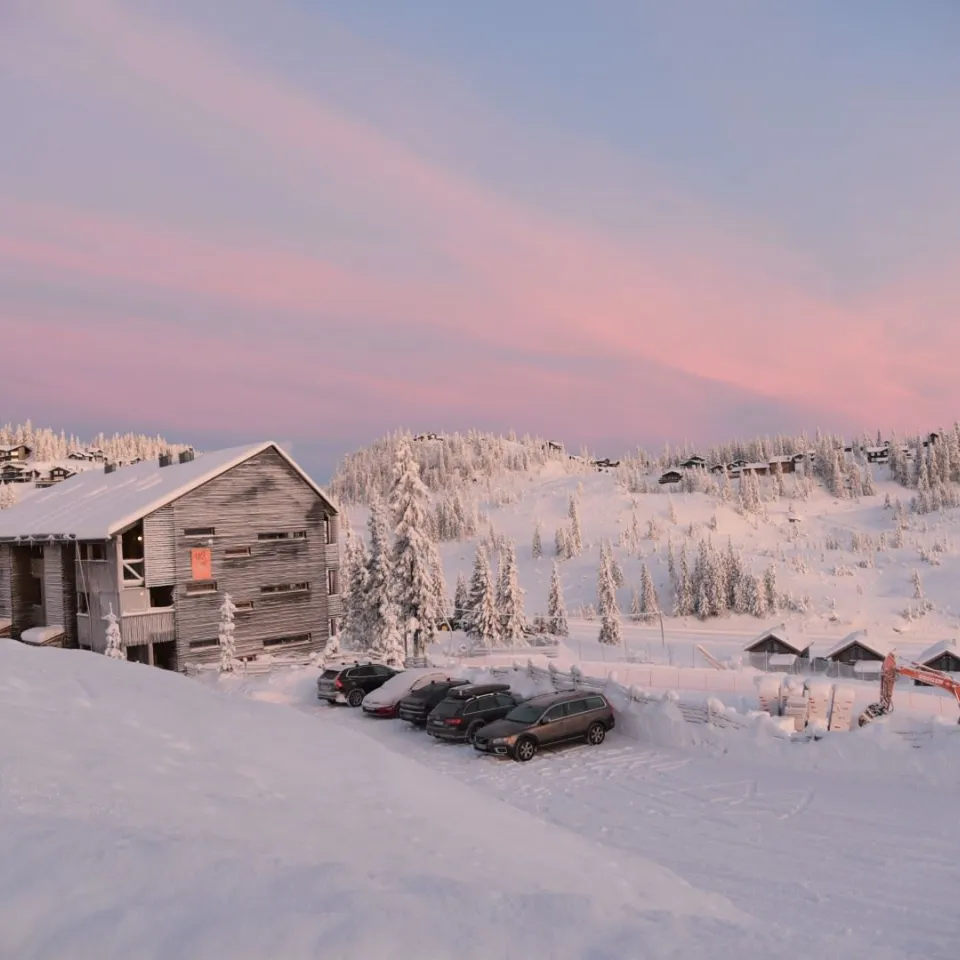 BASE CAMP 233