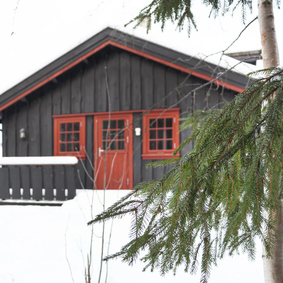 NORDLIA 28