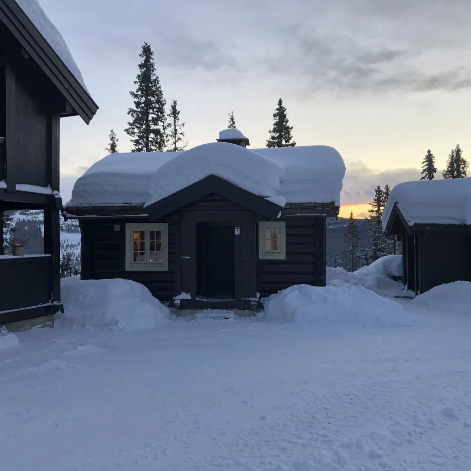 BJØNNLISKARDET 25