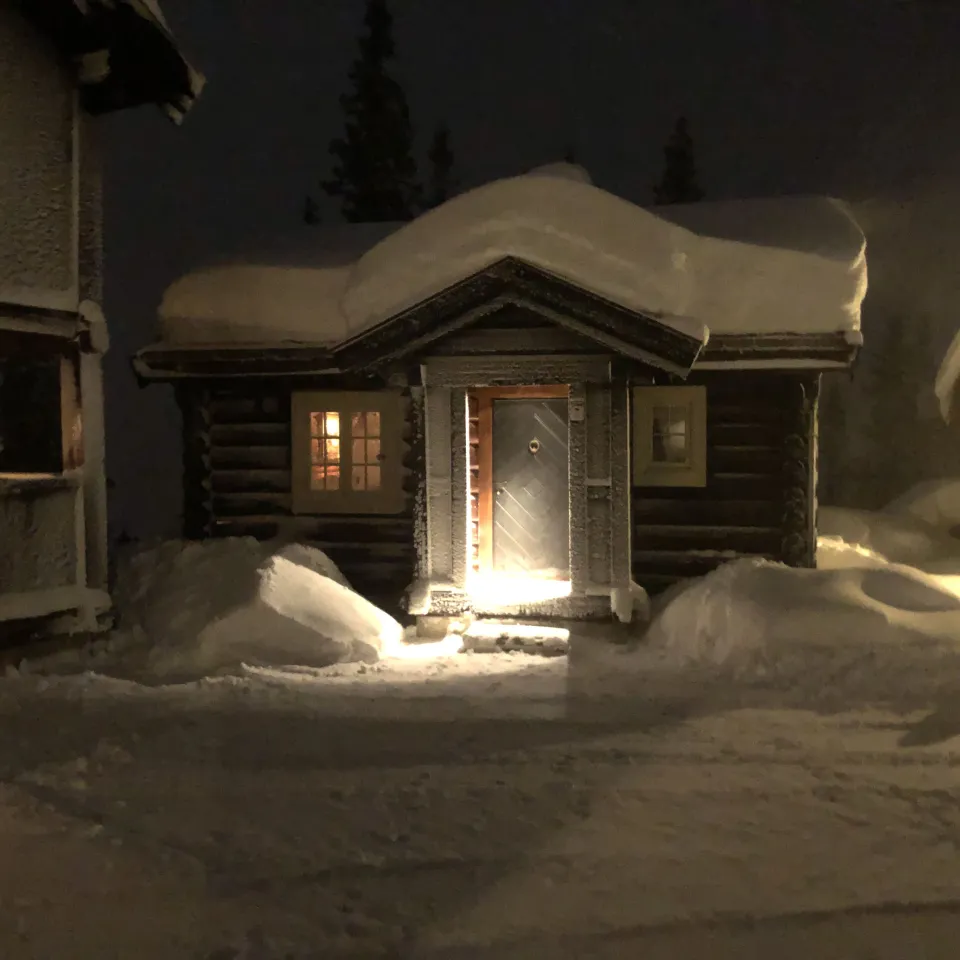 BJØNNLISKARDET 25