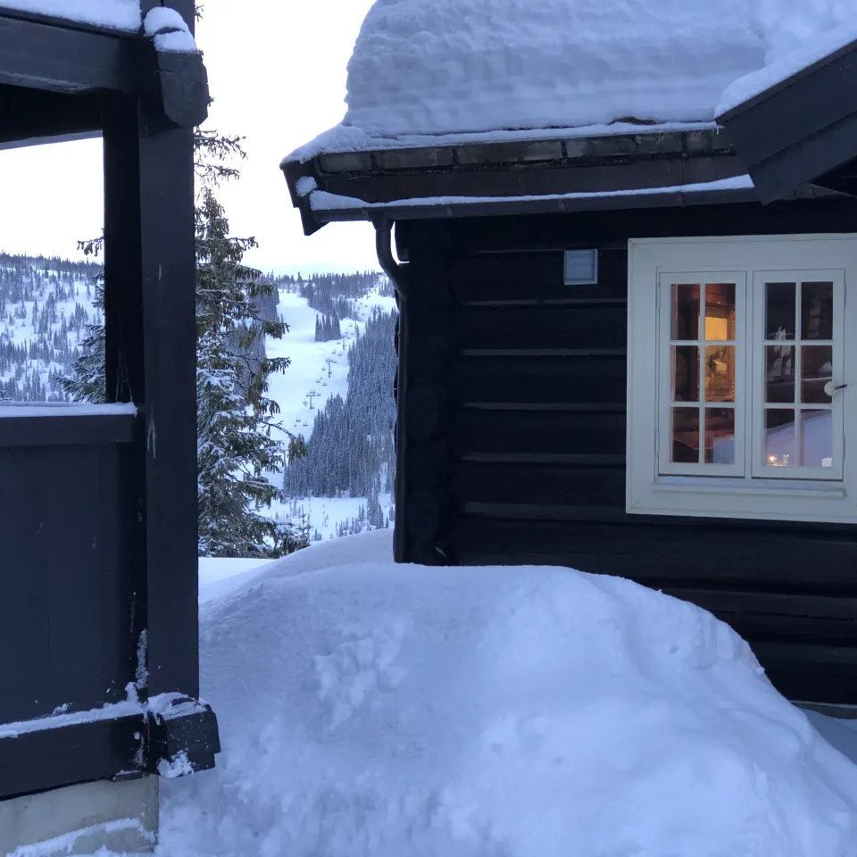 BJØNNLISKARDET 25
