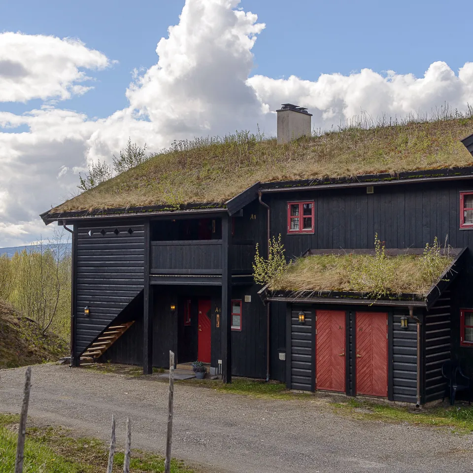NORDLIA A1 NY