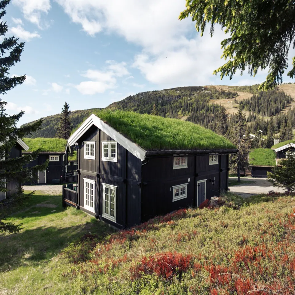 Gudbrandsgard Hyttegrend
