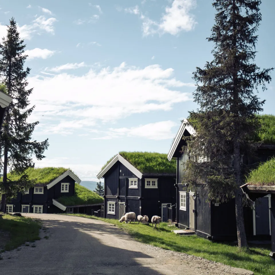 Gudbrandsgard Hyttegrend