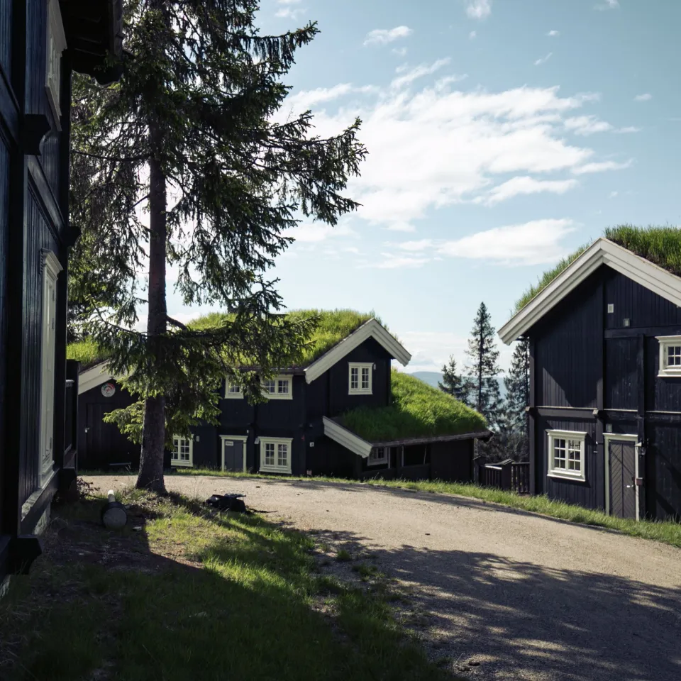 Gudbrandsgard Hyttegrend