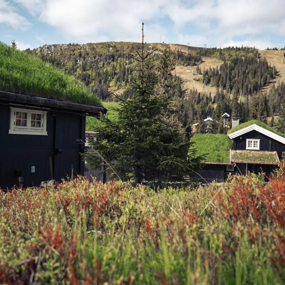 GUDBRANDSGARD HYTTEGREND 5