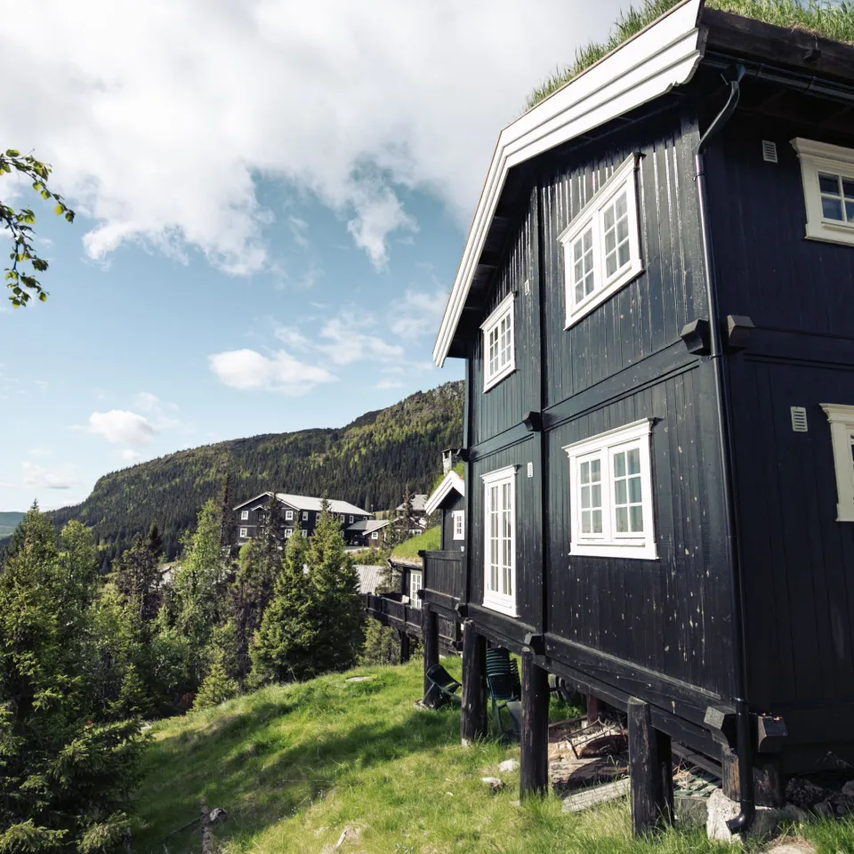 GUDBRANDSGARD HYTTEGREND 8