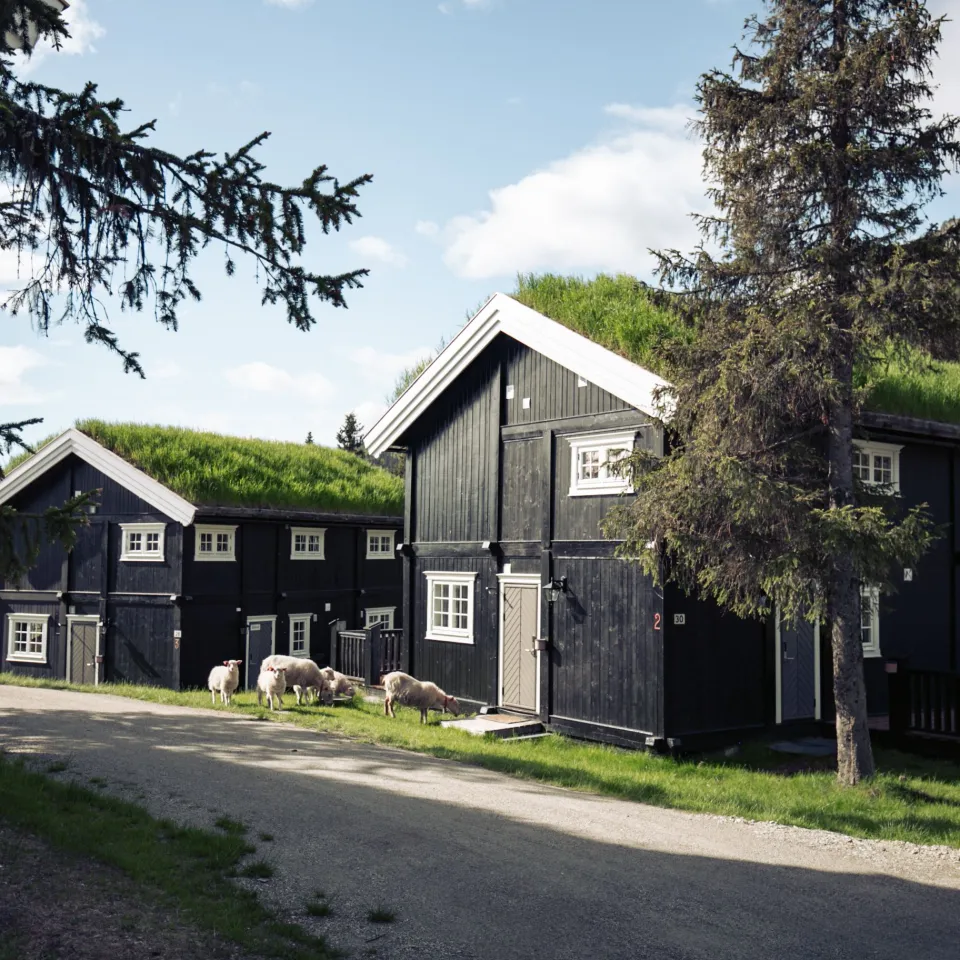 GUDBRANDSGARD HYTTEGREND 6