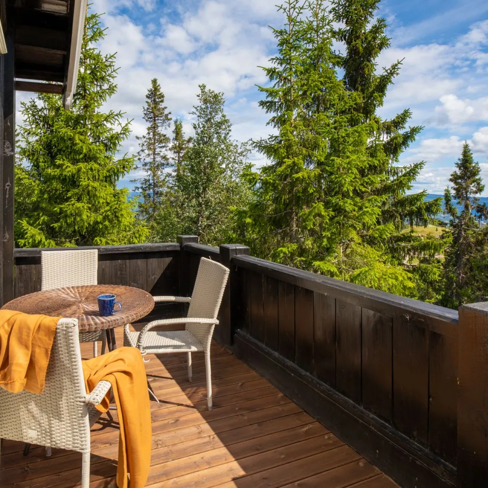 GUDBRANDSGARD HYTTEGREND 4