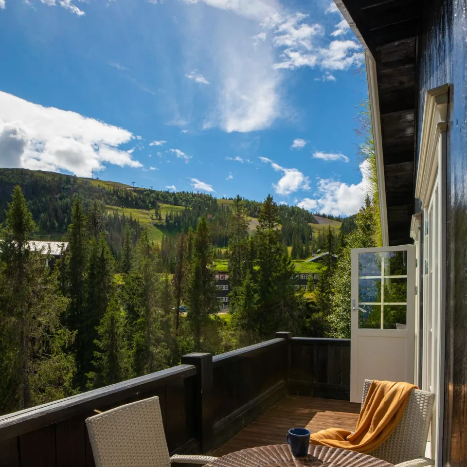 GUDBRANDSGARD HYTTEGREND 4