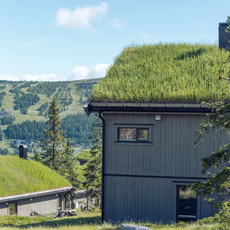 Varden Fjellandsby
