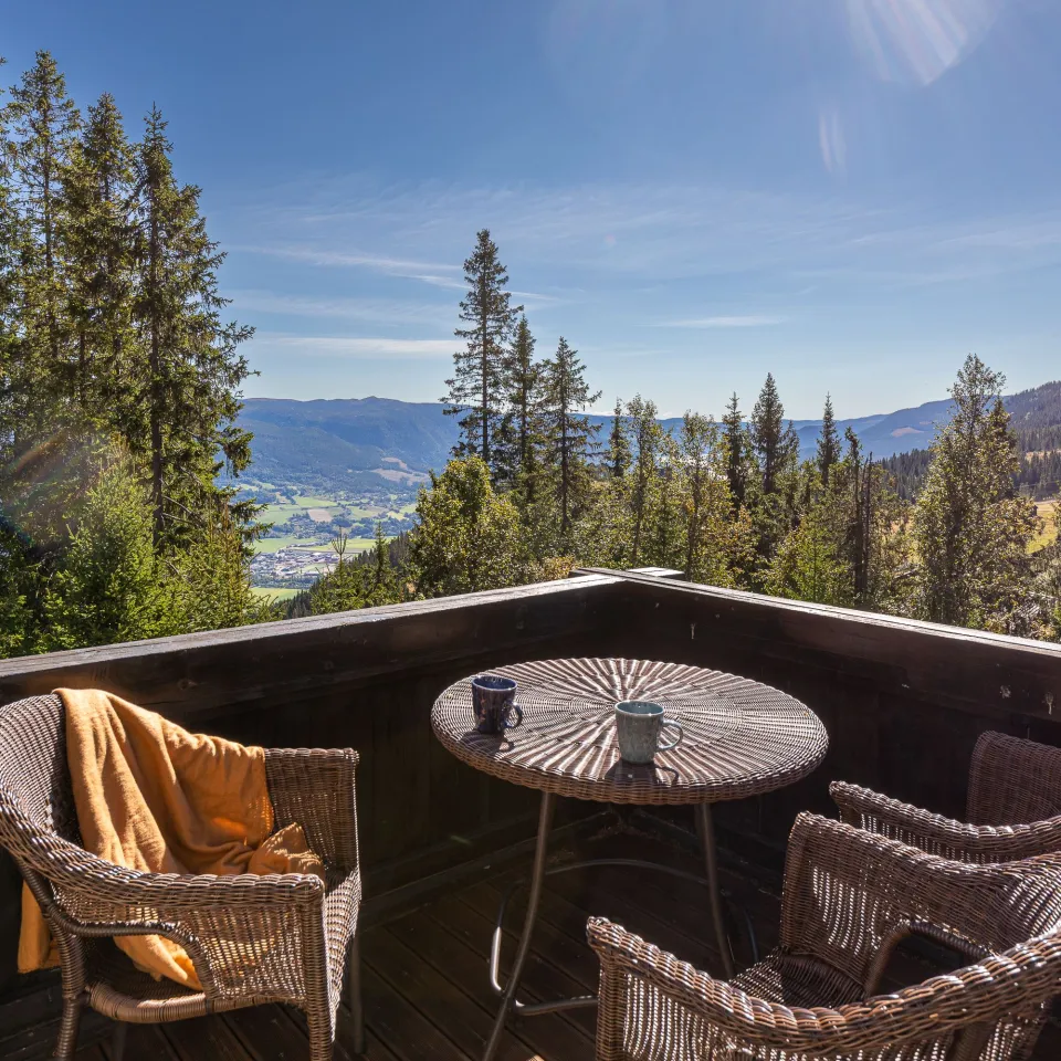 GUDBRANDSGARD HYTTEGREND 5