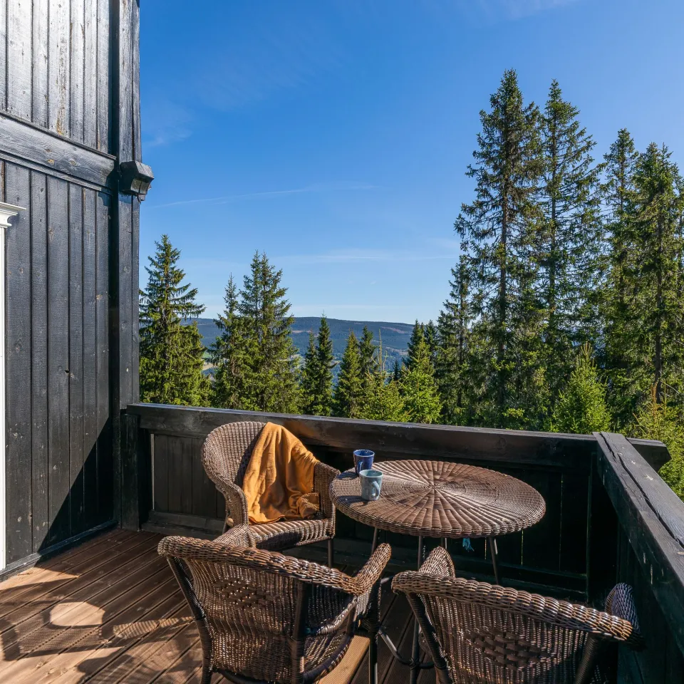 GUDBRANDSGARD HYTTEGREND 5