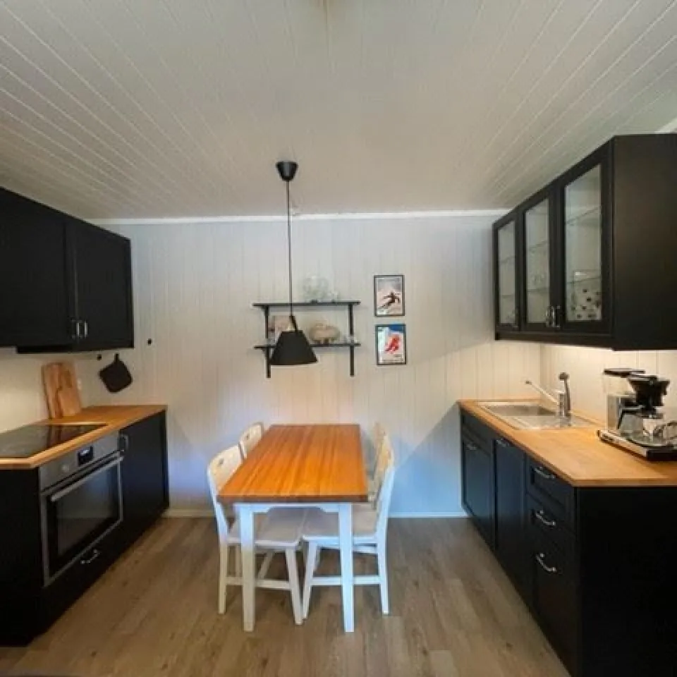 HAFJELL ALPINLANDSBY 47