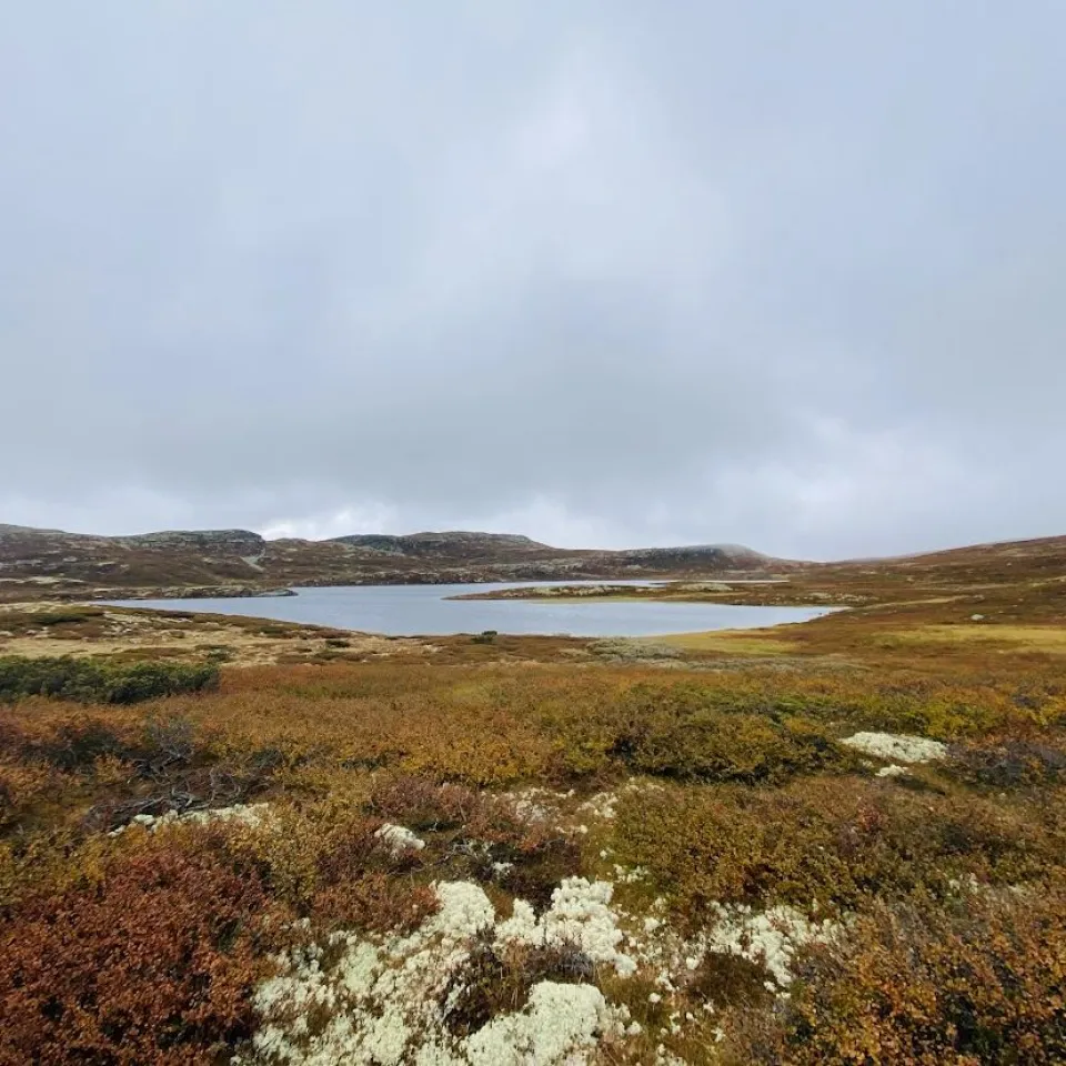 LAFTESTØLEN 17