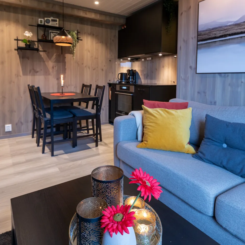 HAFJELL ALPINLANDSBY 22