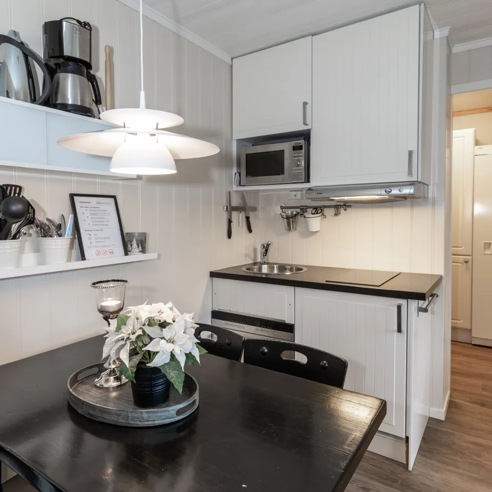 HAFJELL ALPINLANDSBY 33