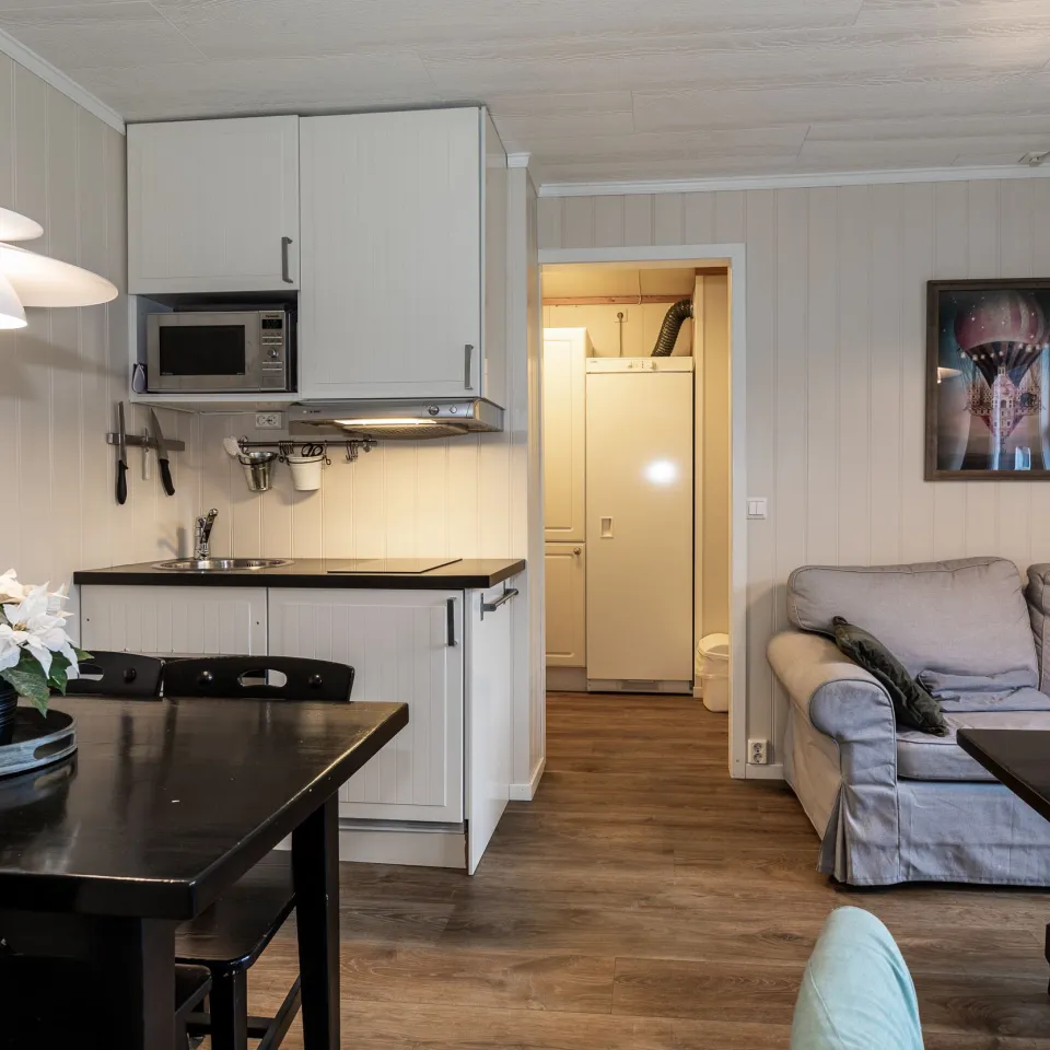 HAFJELL ALPINLANDSBY 33