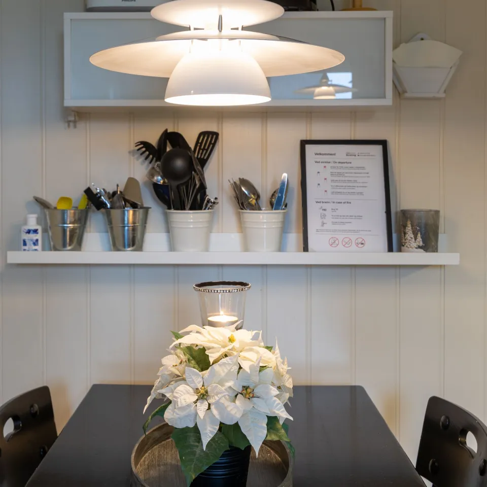 HAFJELL ALPINLANDSBY 33