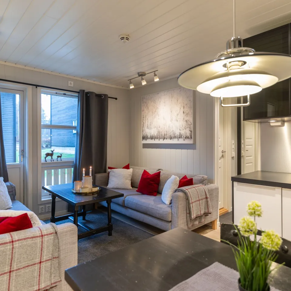 HAFJELL ALPINLANDSBY 24