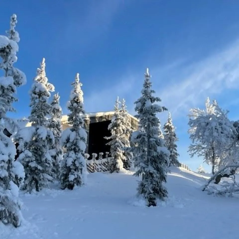SVARTSKARDVEGEN 189