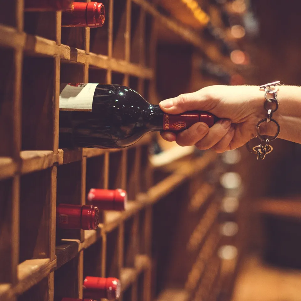 Vinterferie på Gudbrandsgard | 2 døgn