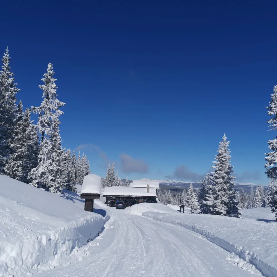 SØNNAVIND