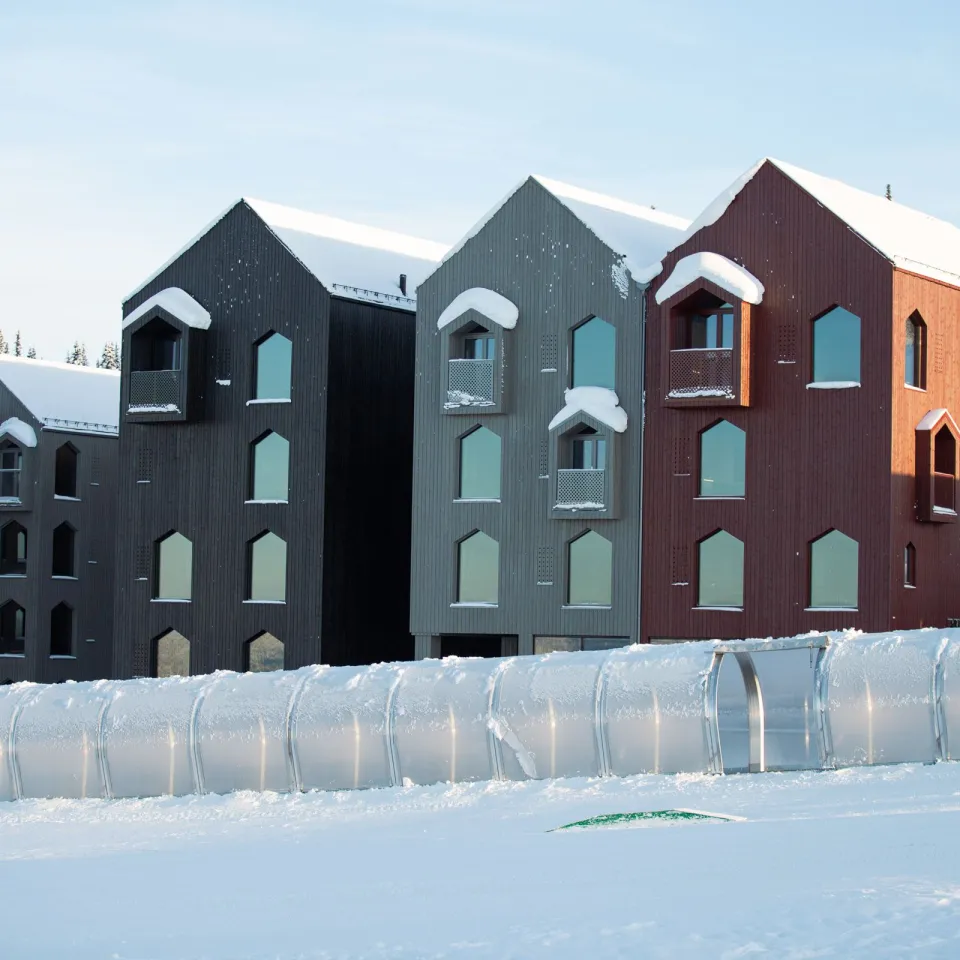 Palmehelg på Favn med skipass