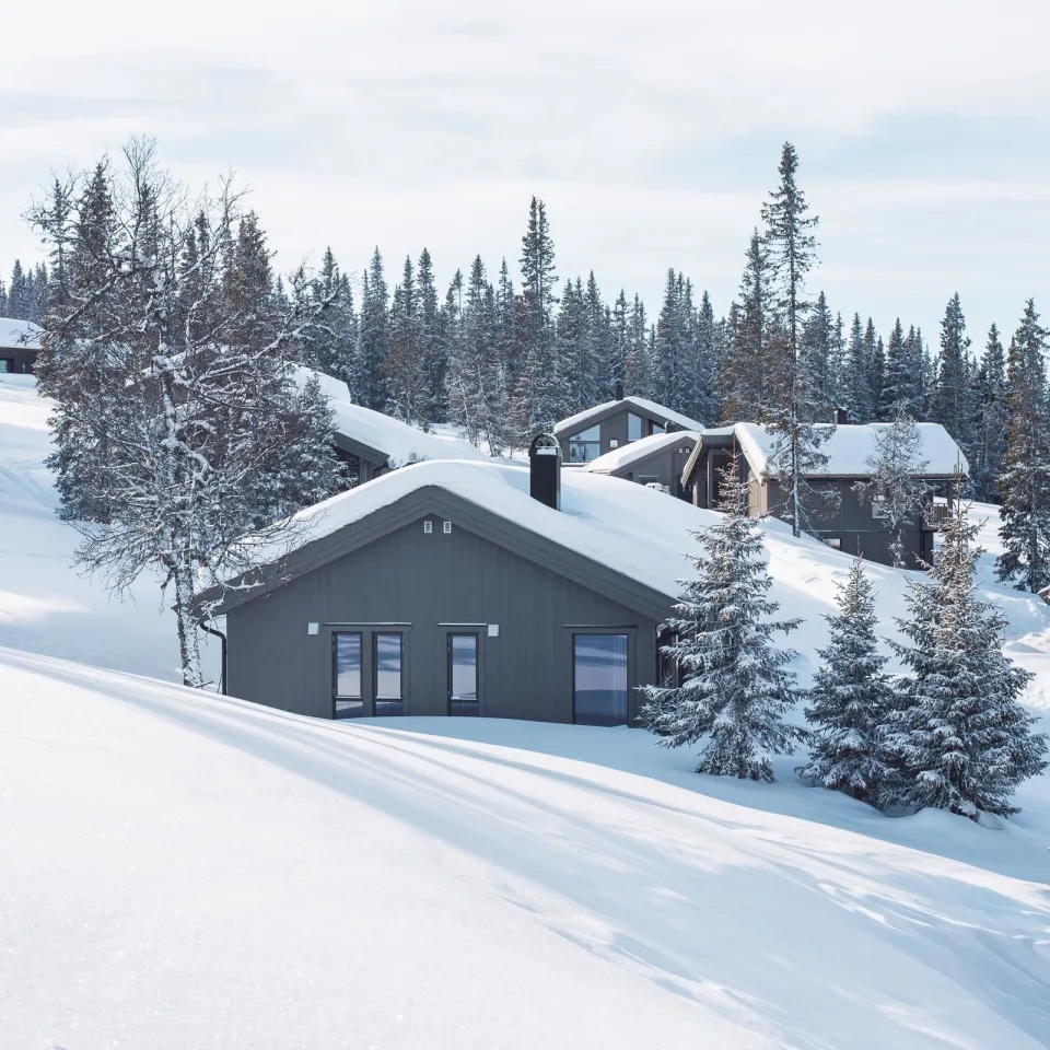 Varden Fjellandsby