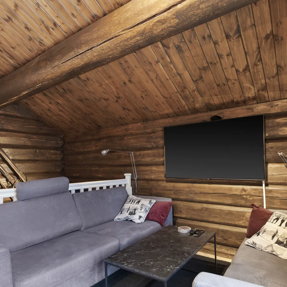 BJØNNLIA 95B