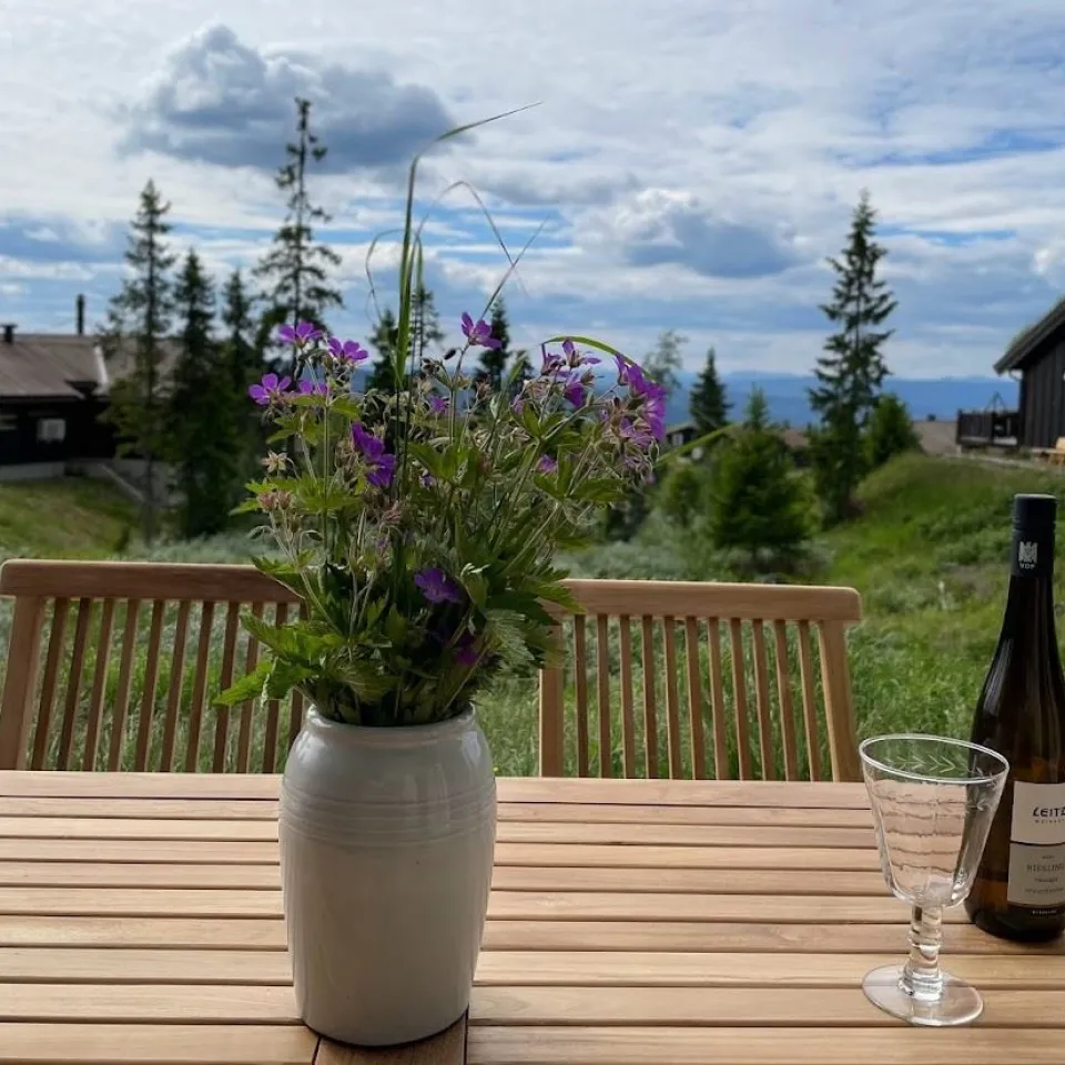 SKÅKLEVEGEN 44