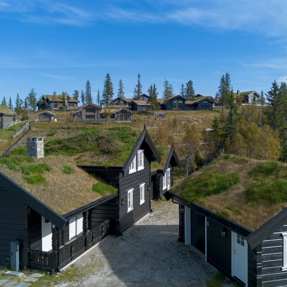 VARDEN 291