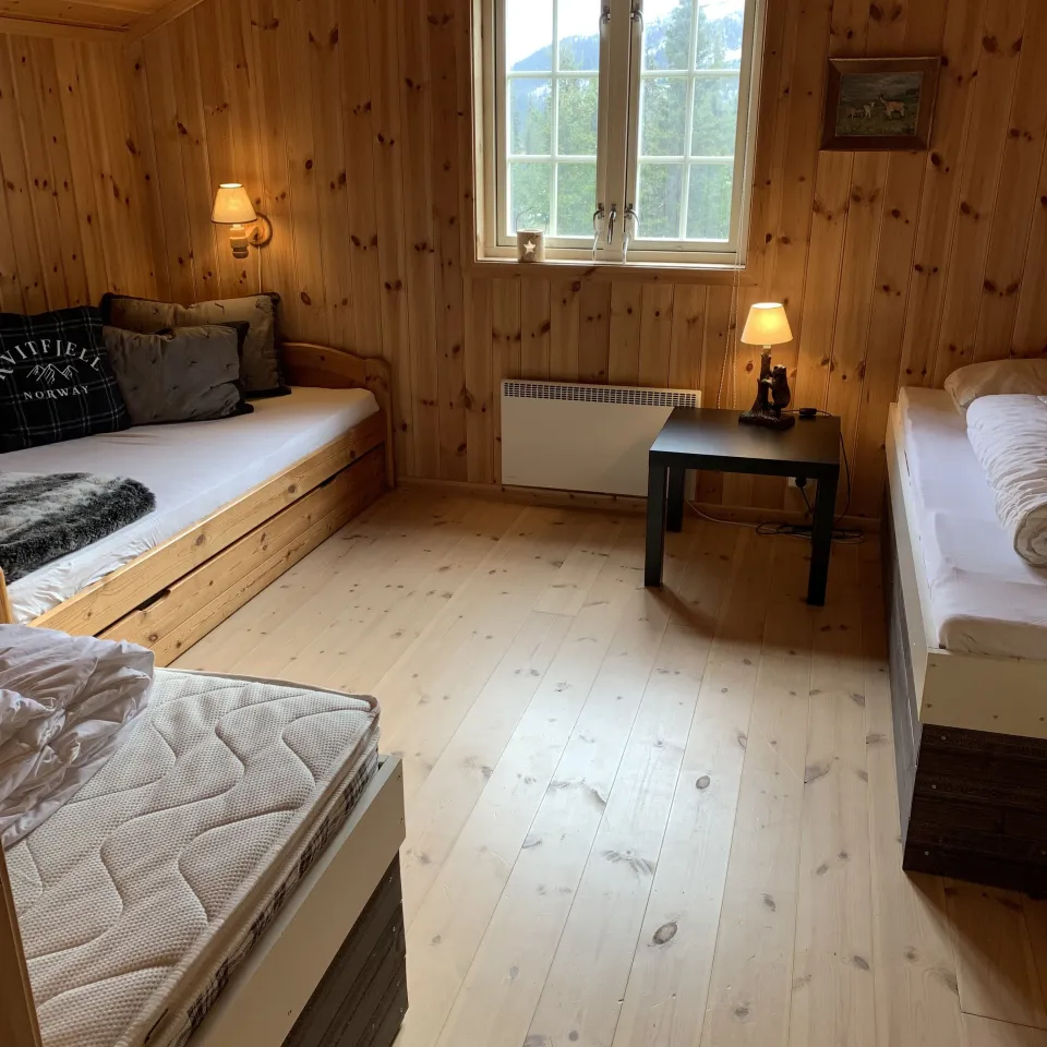 BJØNNLISKARDET 13