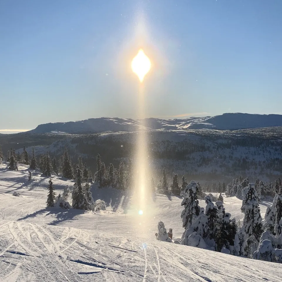 BJØNNLISKARDET 13